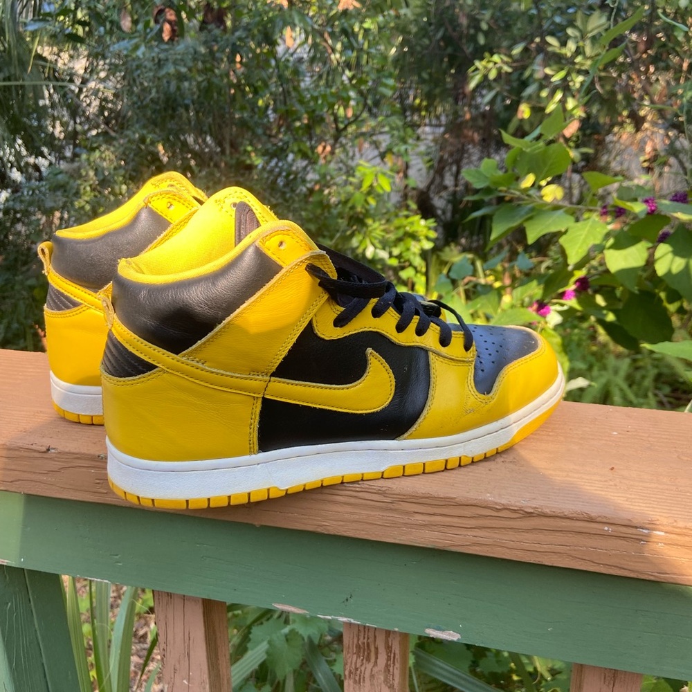 Nike dunk high